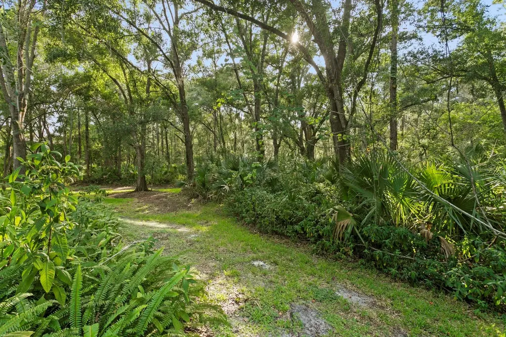 14183 Waterville Circle Tampa FL 33626