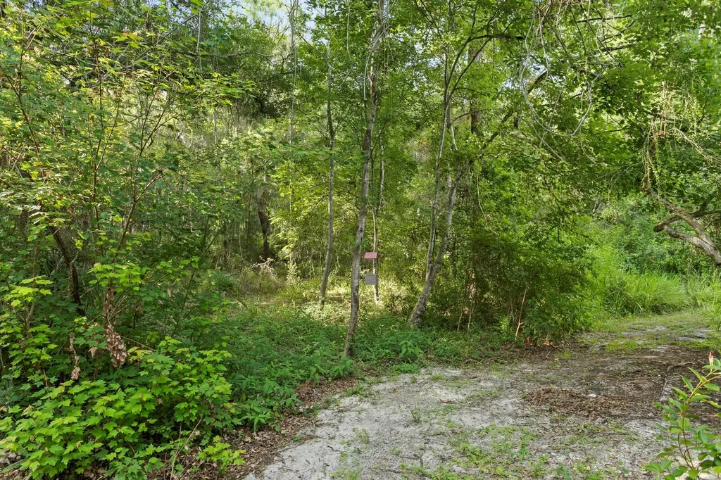 14183 Waterville Circle Tampa FL 33626