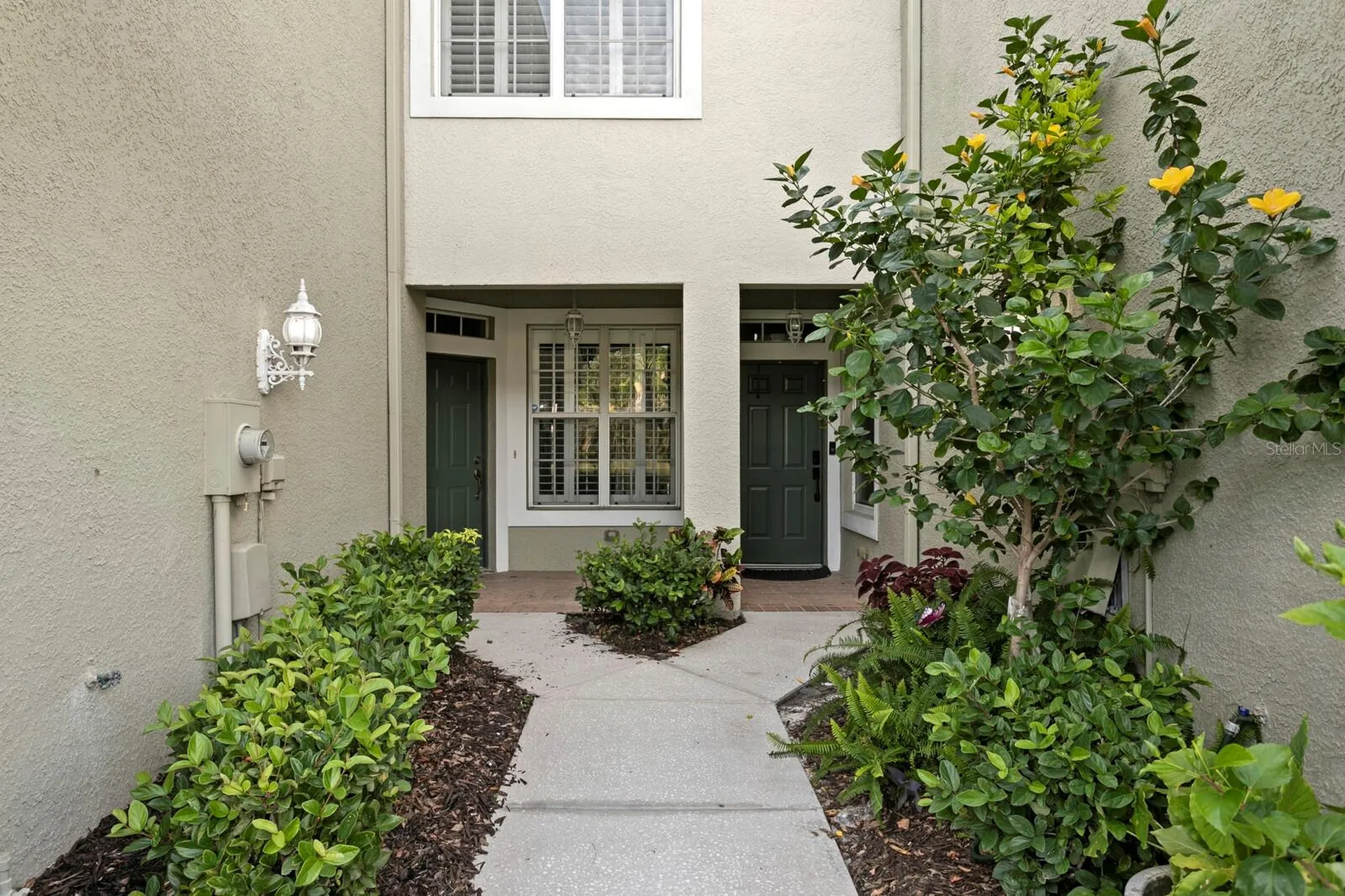 14183 Waterville Circle Tampa FL 33626