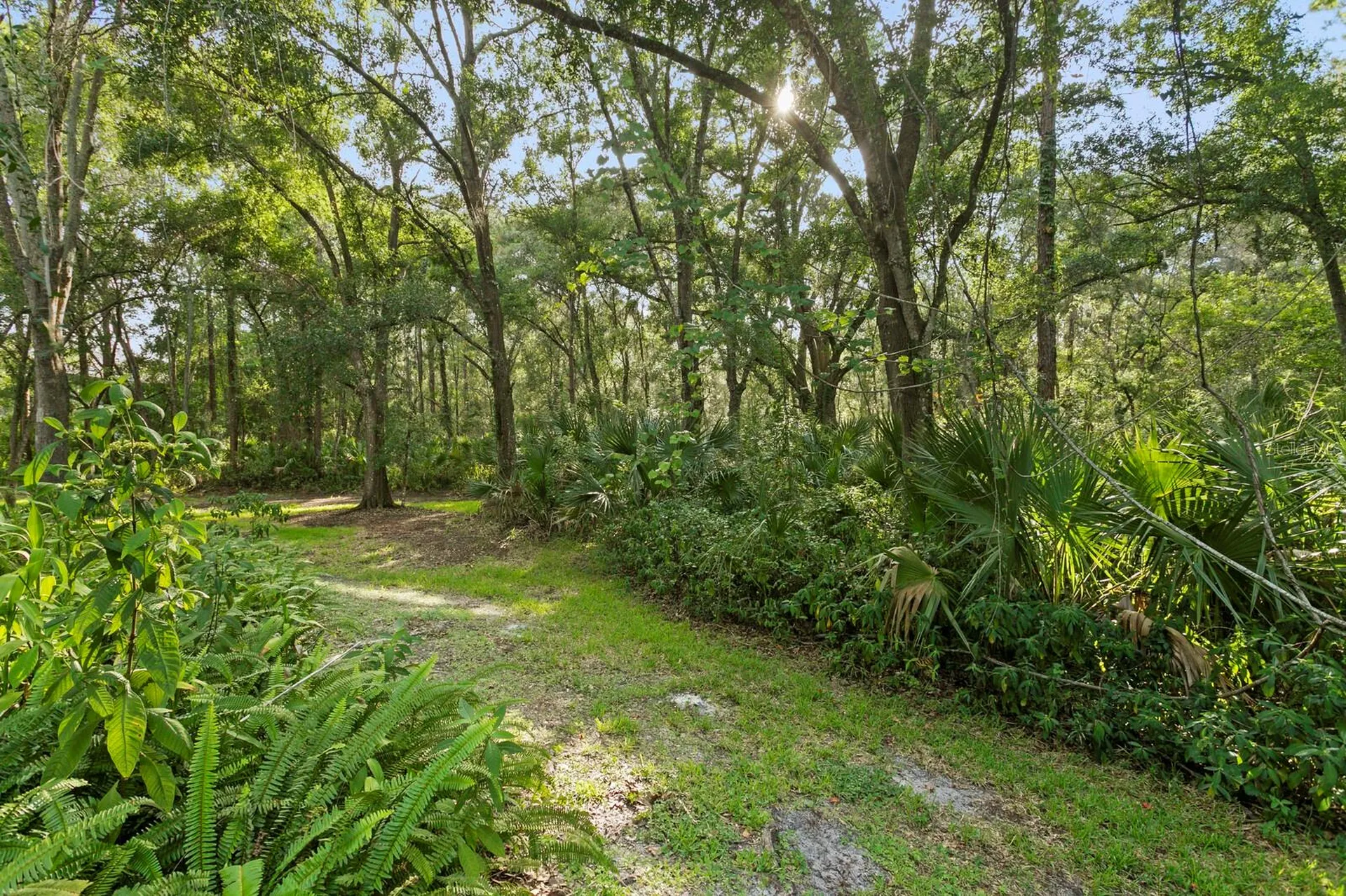 14183 Waterville Circle Tampa FL 33626