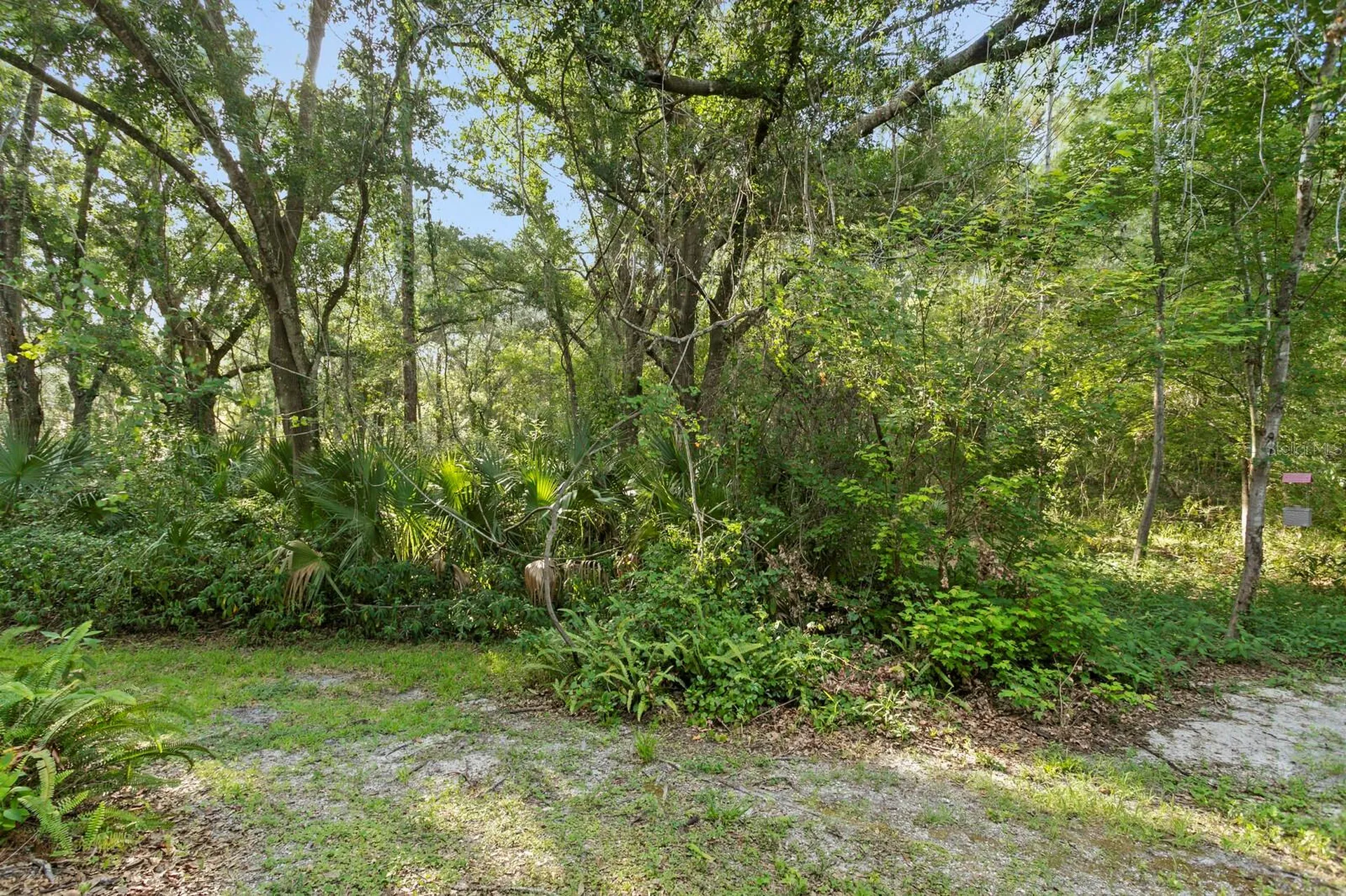 14183 Waterville Circle Tampa FL 33626