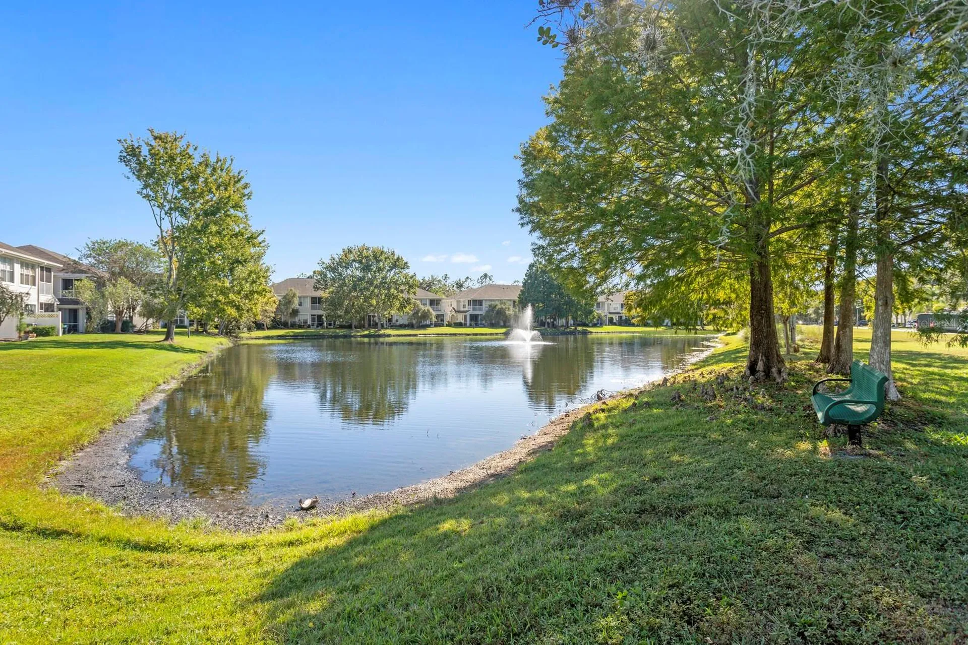14183 Waterville Circle Tampa FL 33626