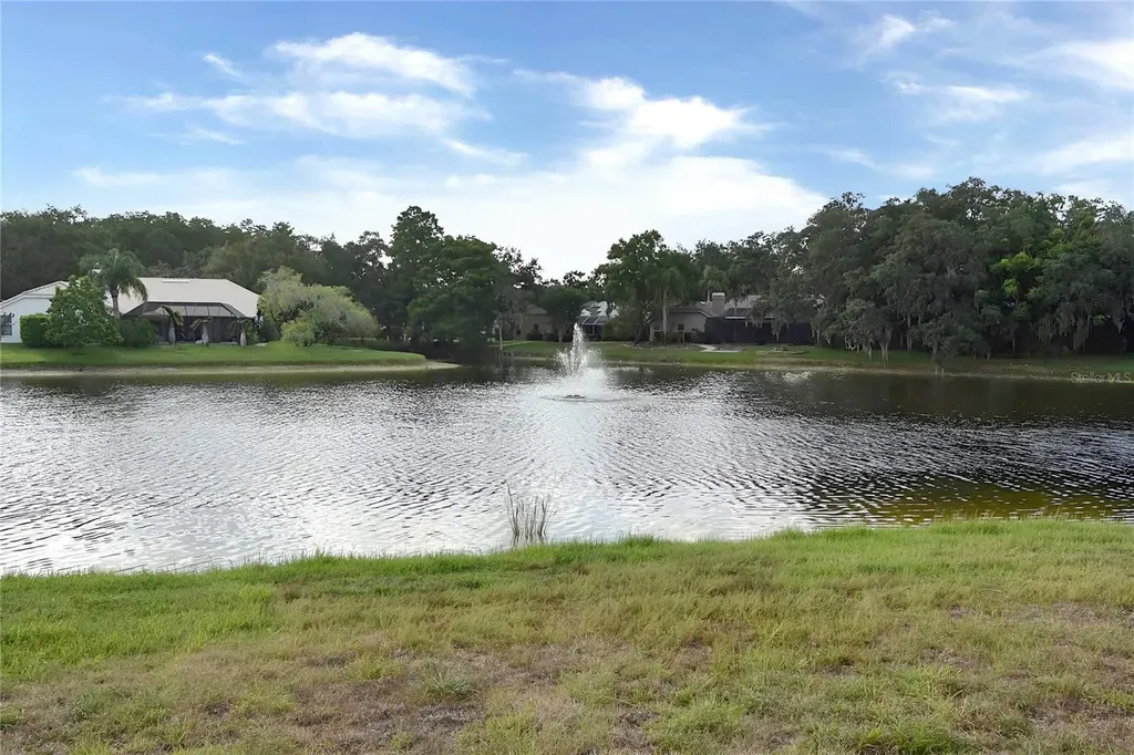 4763 Brayton Terrace N Palm Harbor FL 34685