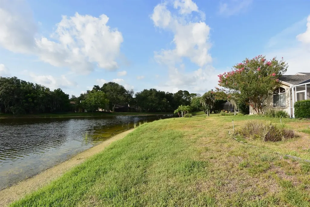 4763 Brayton Terrace N Palm Harbor FL 34685