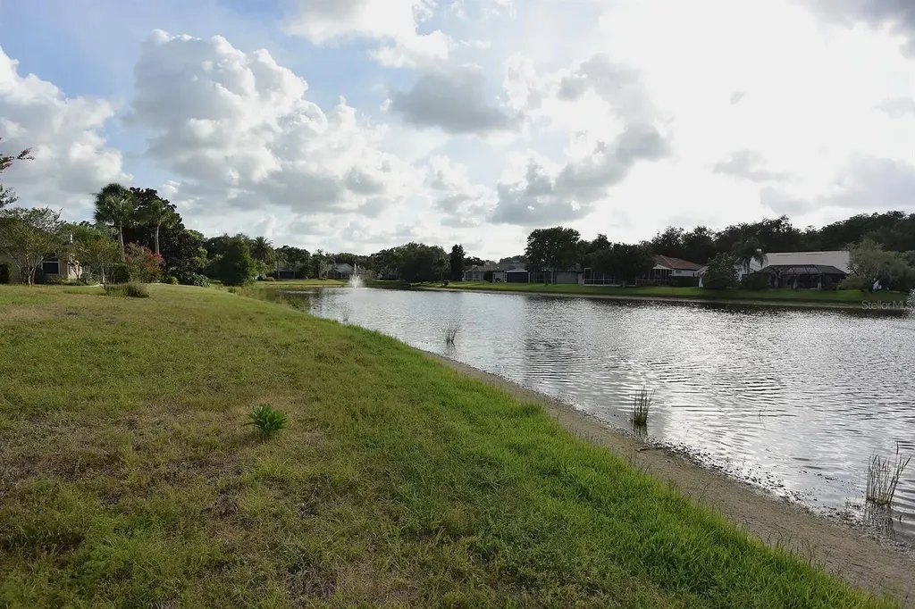 4763 Brayton Terrace N Palm Harbor FL 34685