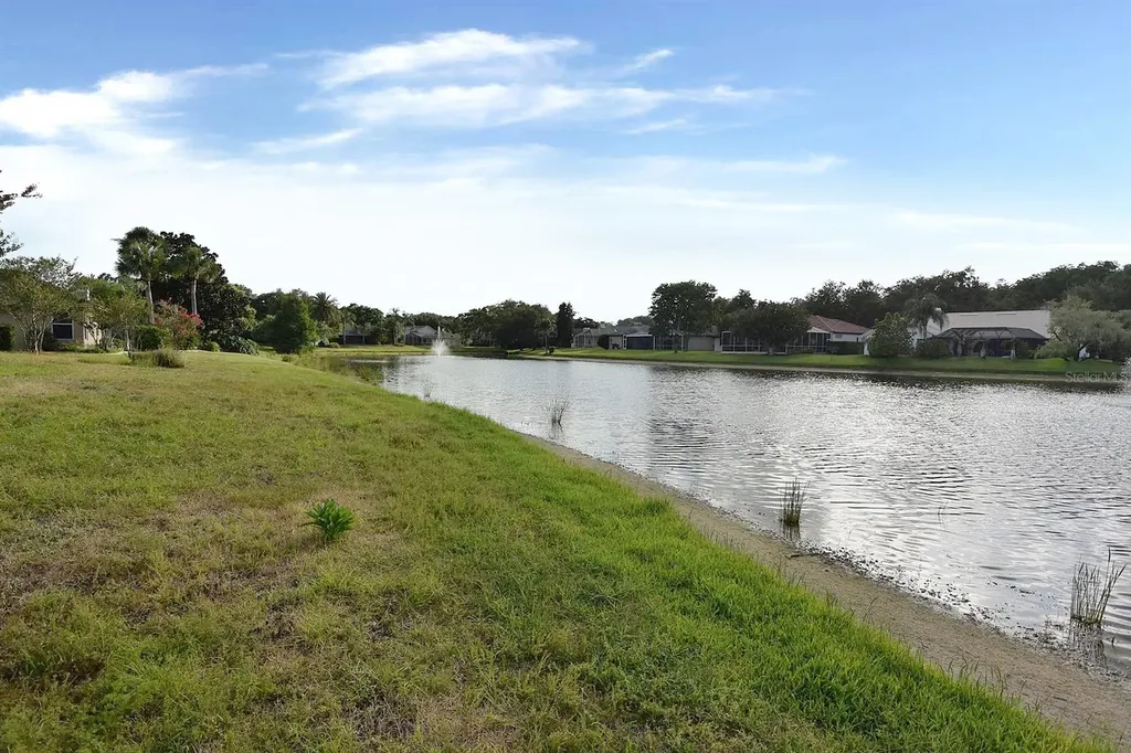 4763 Brayton Terrace N Palm Harbor FL 34685