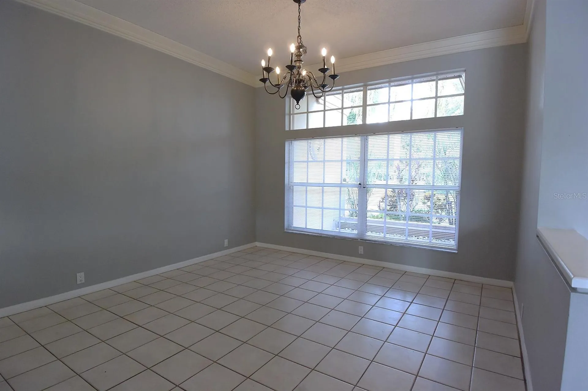 4763 Brayton Terrace N Palm Harbor FL 34685