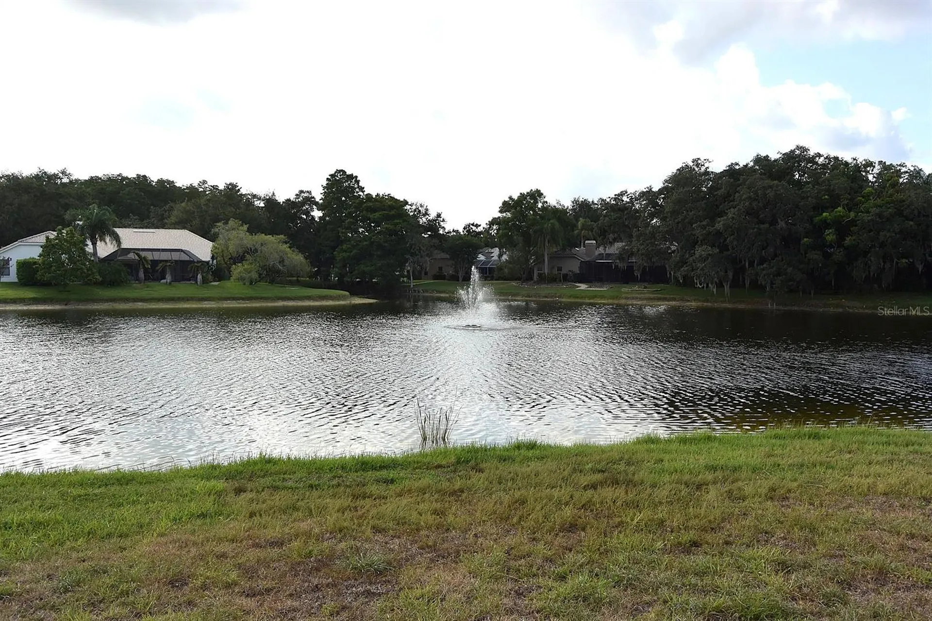4763 Brayton Terrace N Palm Harbor FL 34685