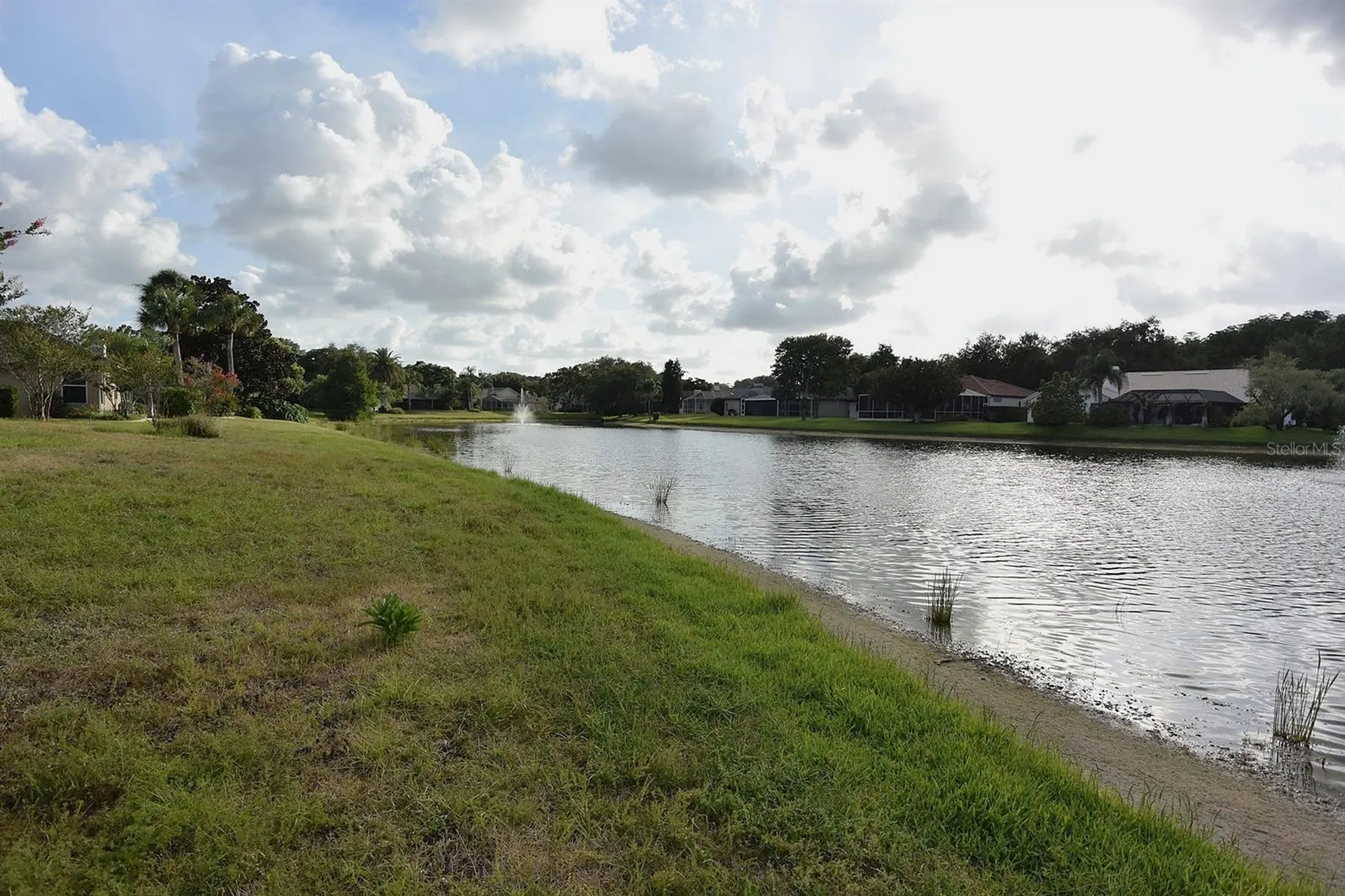 4763 Brayton Terrace N Palm Harbor FL 34685