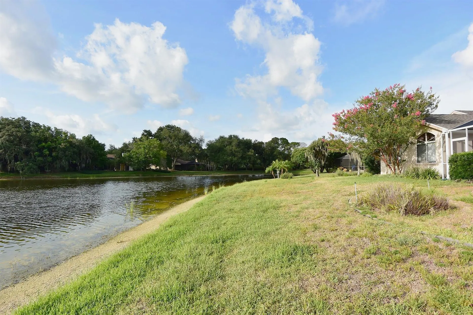 4763 Brayton Terrace N Palm Harbor FL 34685