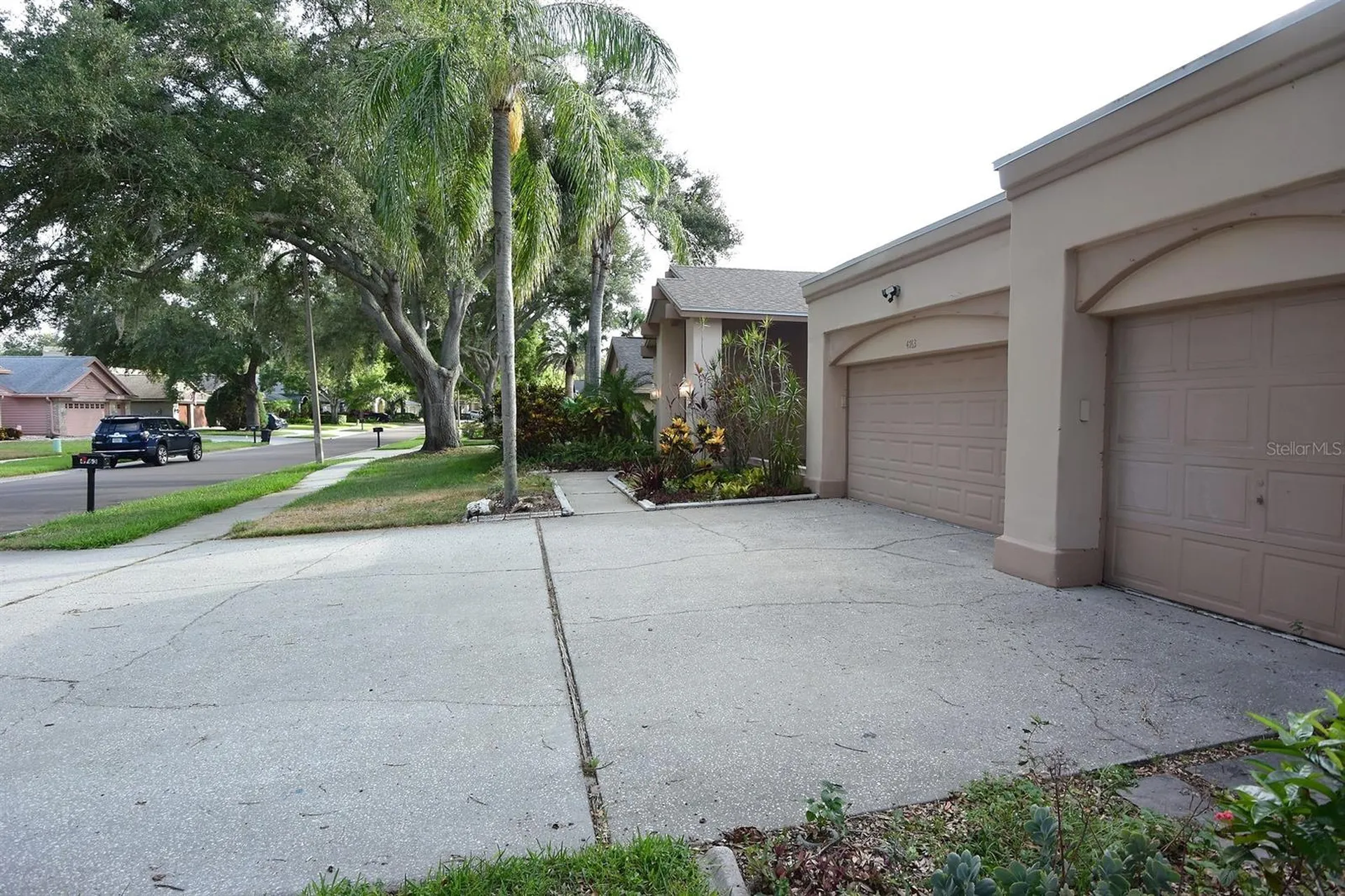 4763 Brayton Terrace N Palm Harbor FL 34685