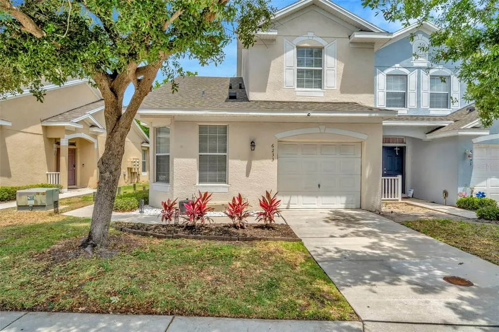 6233 Olivedale Drive Riverview FL 33578