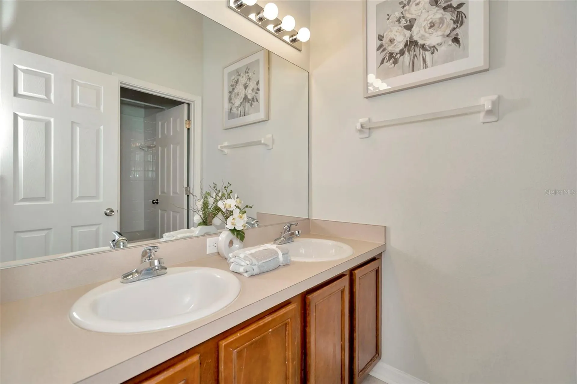 6233 Olivedale Drive Riverview FL 33578