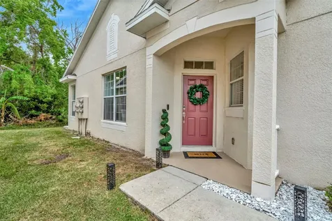 6233 Olivedale Drive Riverview FL 33578