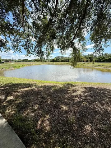 7605 Nottinghill Sky Drive Apollo Beach FL 33572