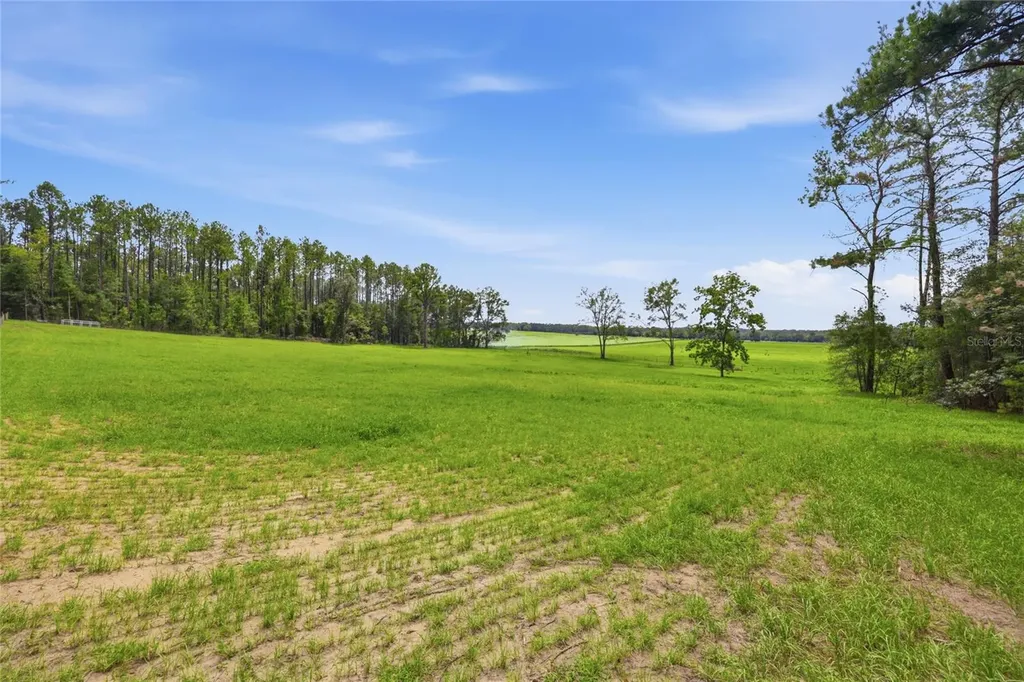 Lot 19 254th Lane Alachua FL 32615