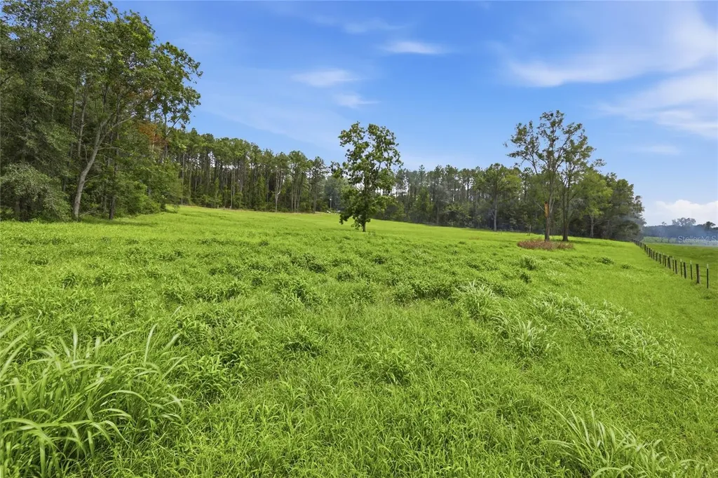 Lot 19 254th Lane Alachua FL 32615