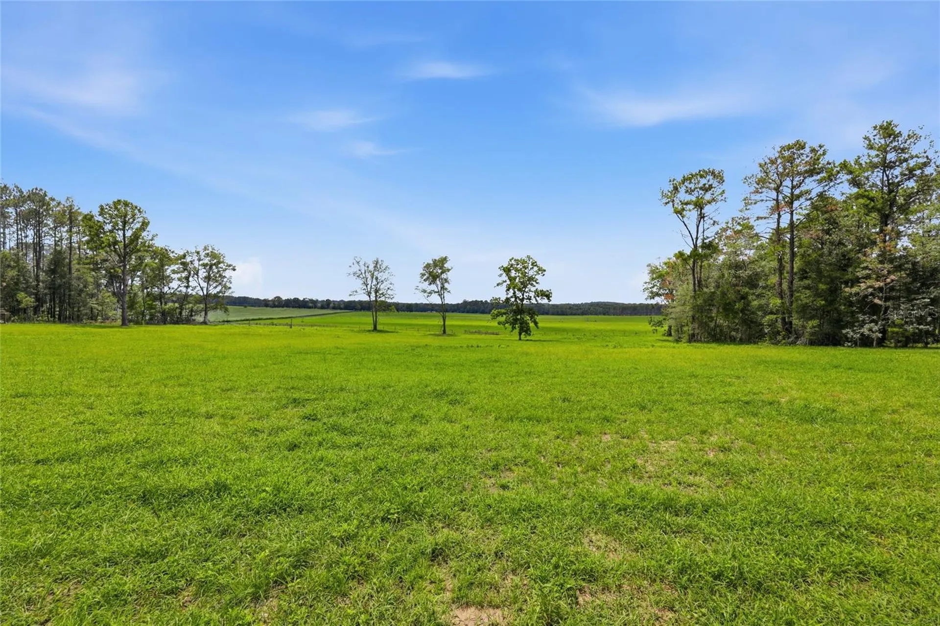 Lot 19 254th Lane Alachua FL 32615