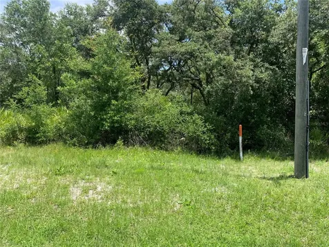 8098 Treiman Boulevard Webster FL 33597