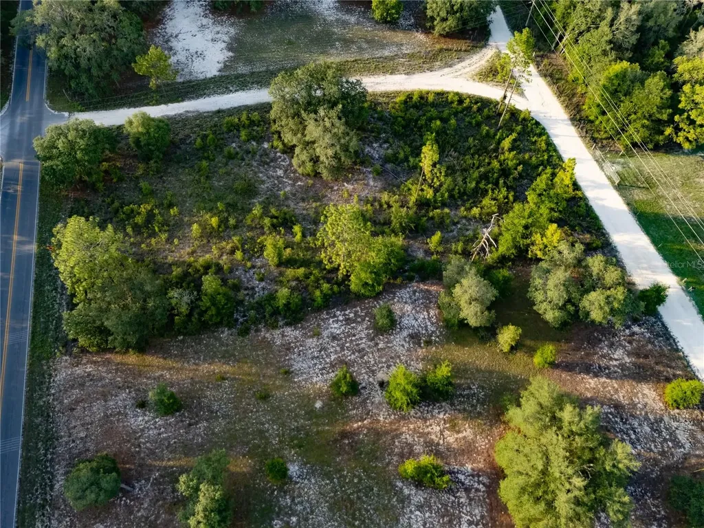 00 NE 104th Court Bronson FL 32621