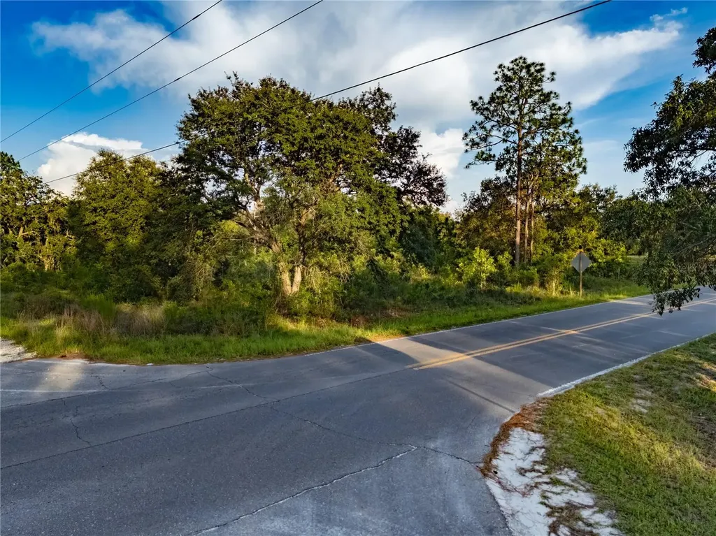 00 NE 104th Court Bronson FL 32621