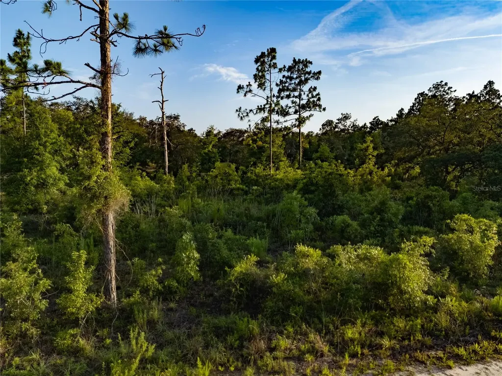 00 NE 104th Court Bronson FL 32621