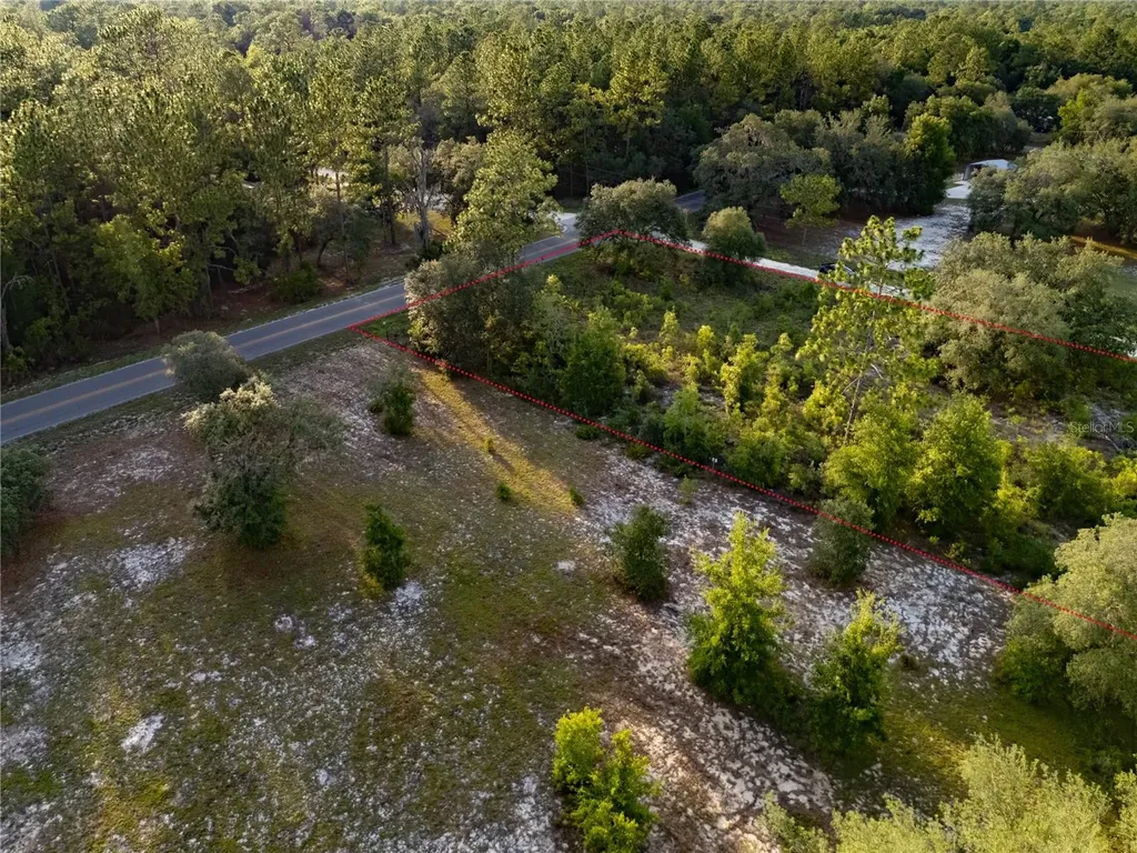 00 NE 104th Court Bronson FL 32621