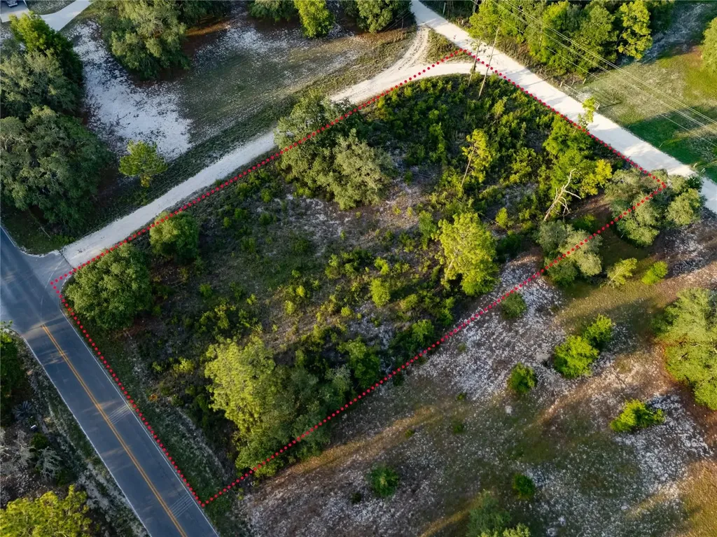 00 NE 104th Court Bronson FL 32621