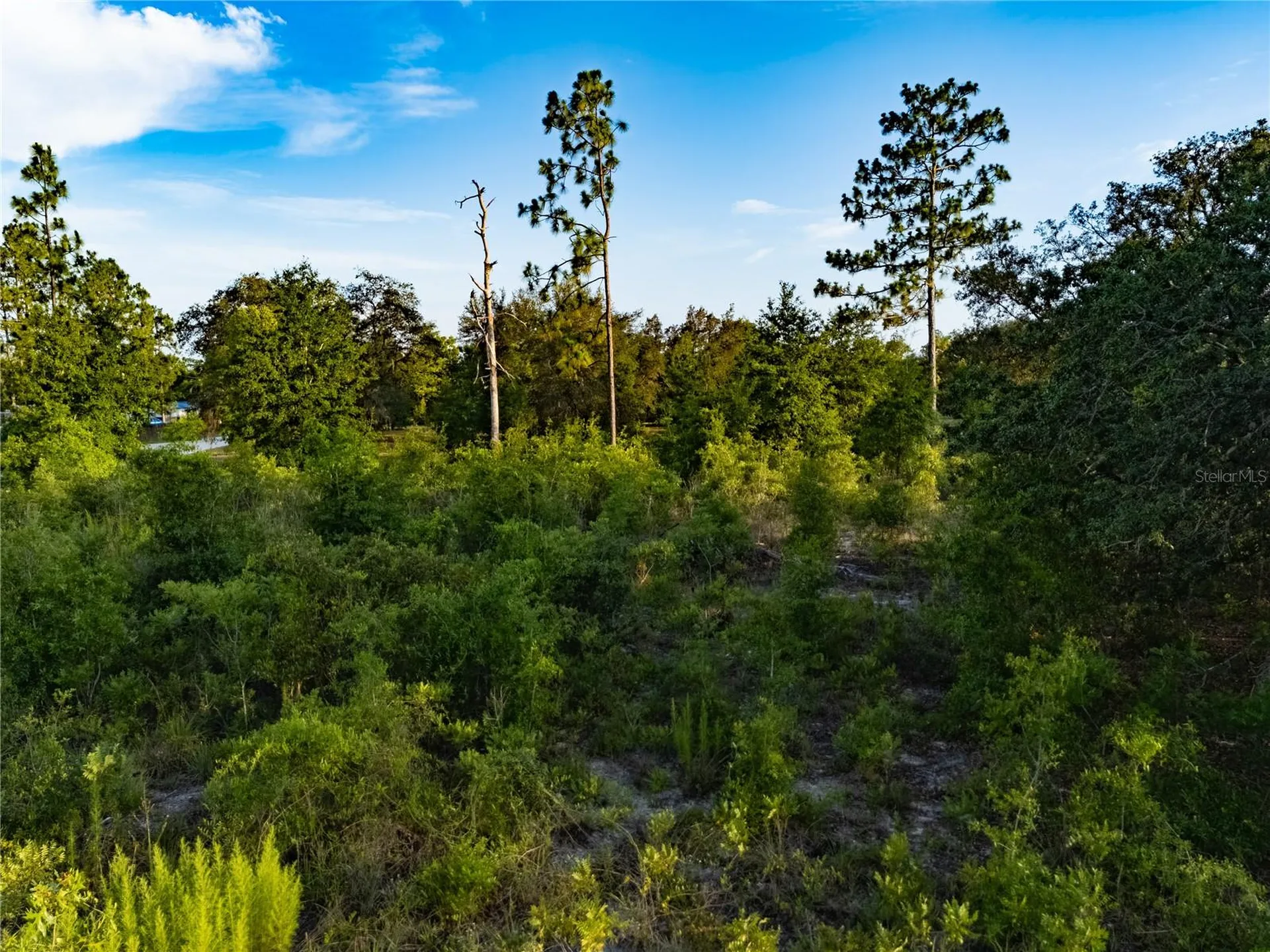00 NE 104th Court Bronson FL 32621