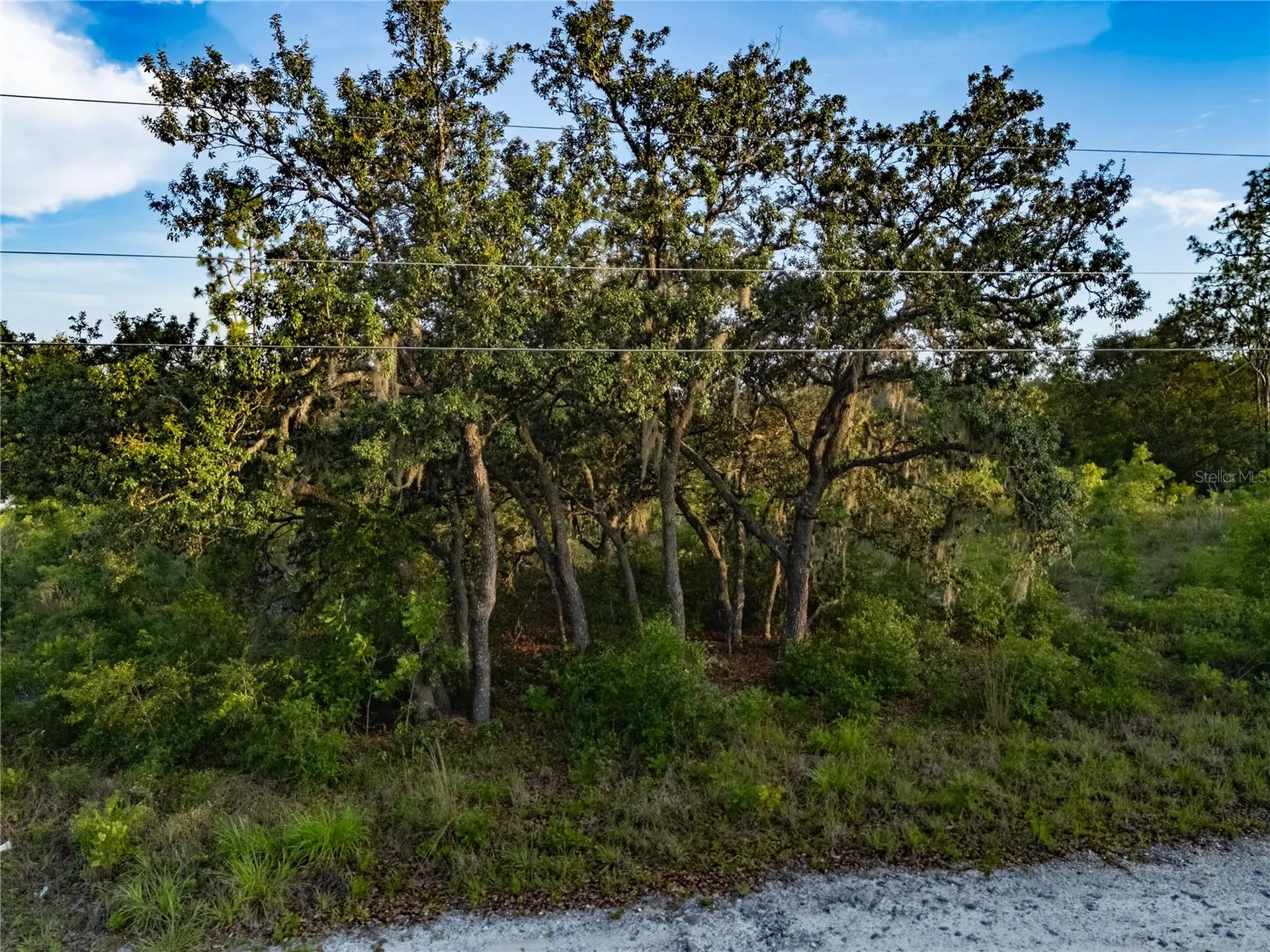 00 NE 104th Court Bronson FL 32621