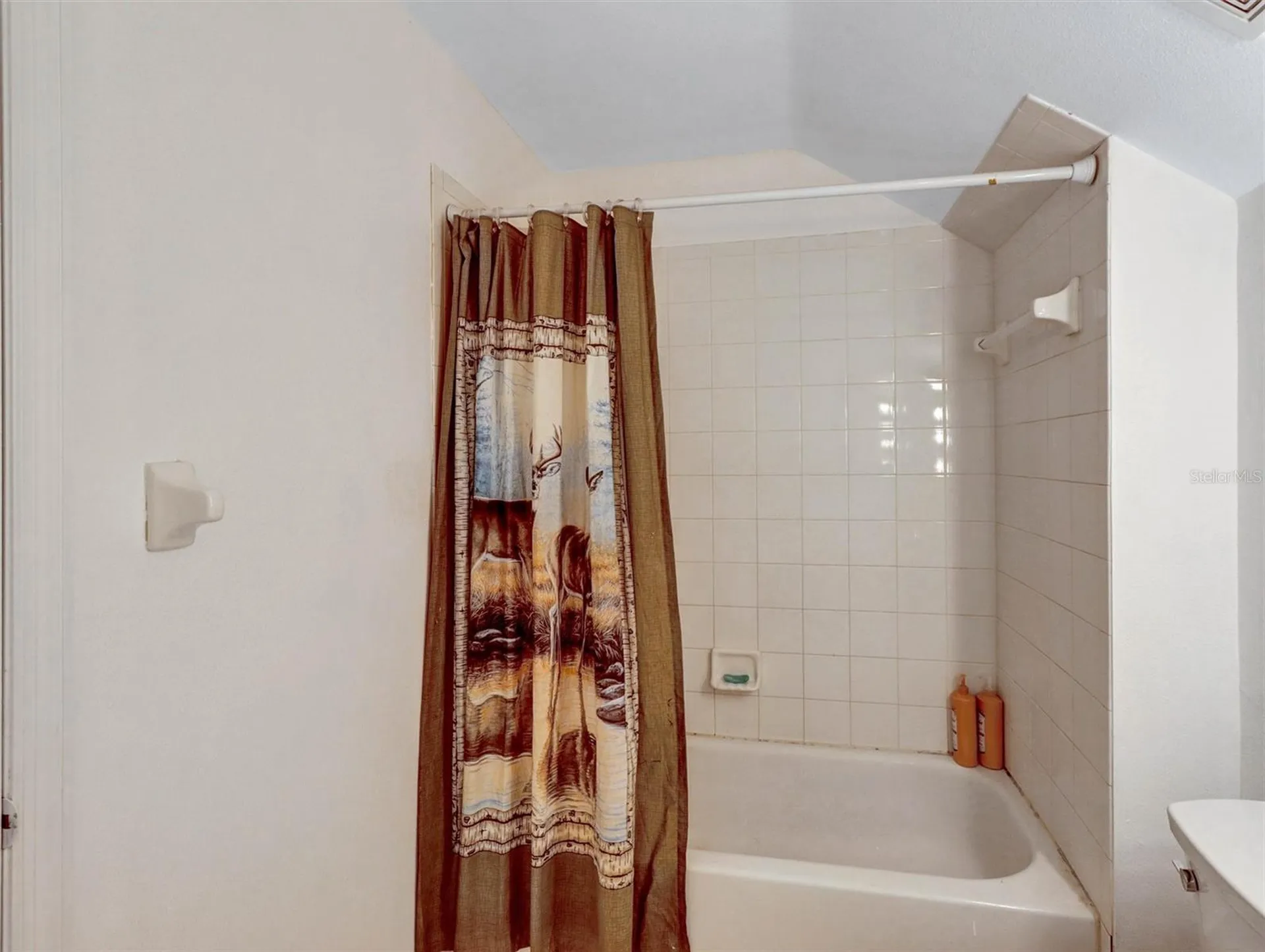 22817 Saint Thomas Circle Lutz FL 33549