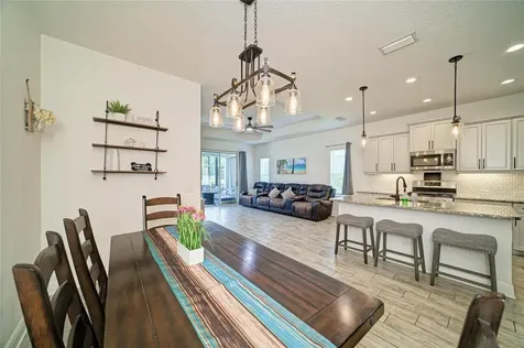 13536 Old Creek Court Parrish FL 34219