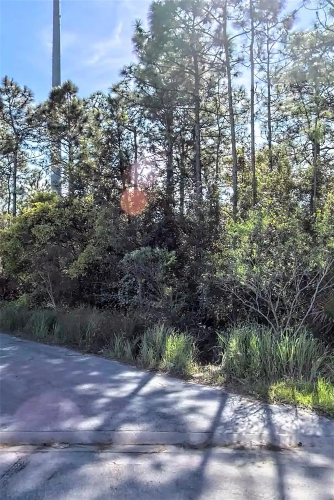 Tbd International Drive S Orlando FL 32821