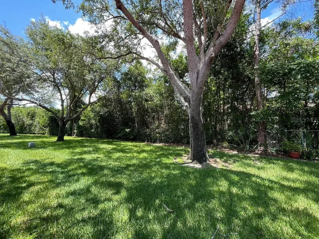 7517 Fenwick Cove Lane Orlando FL 32819