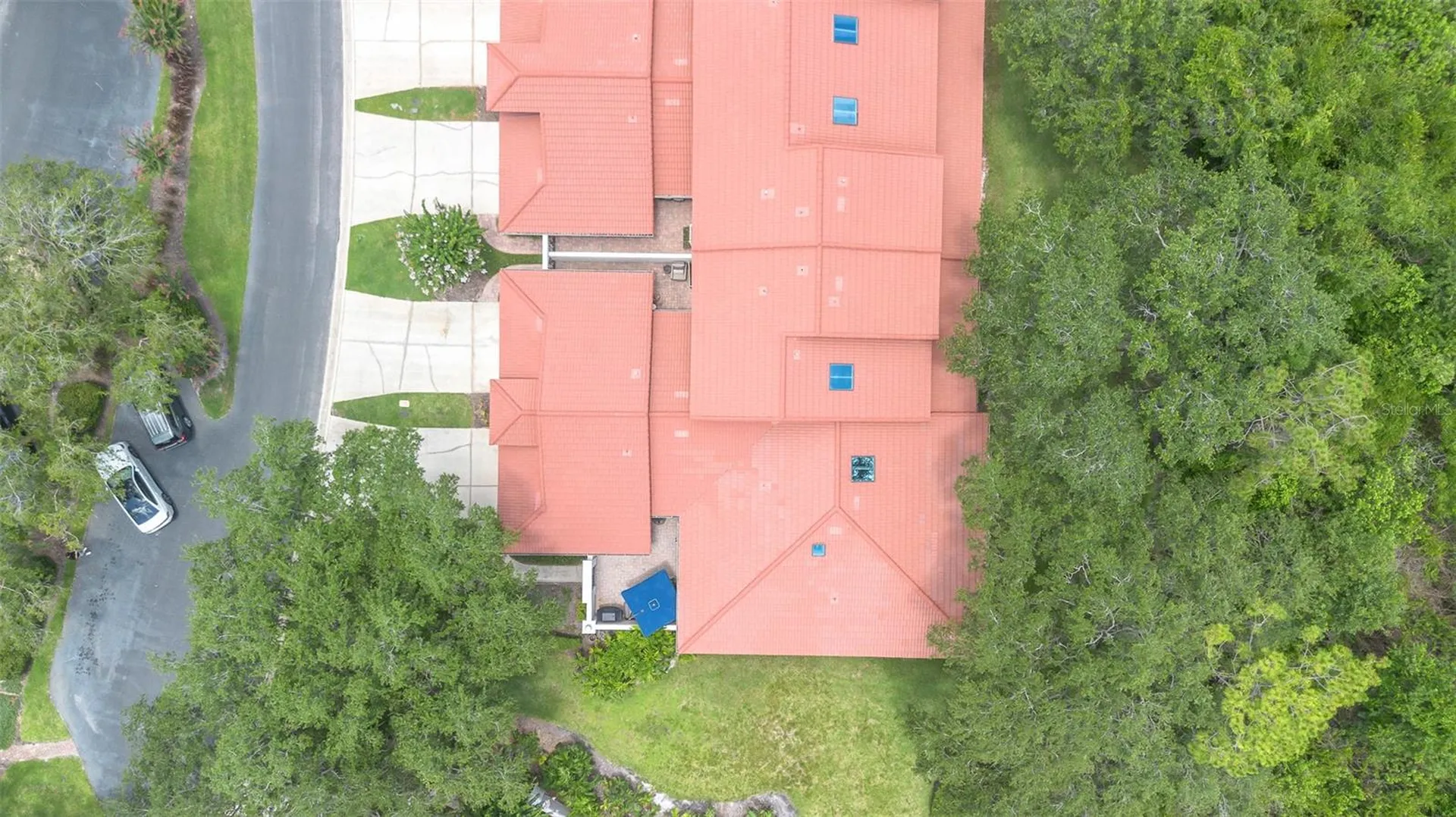 7517 Fenwick Cove Lane Orlando FL 32819