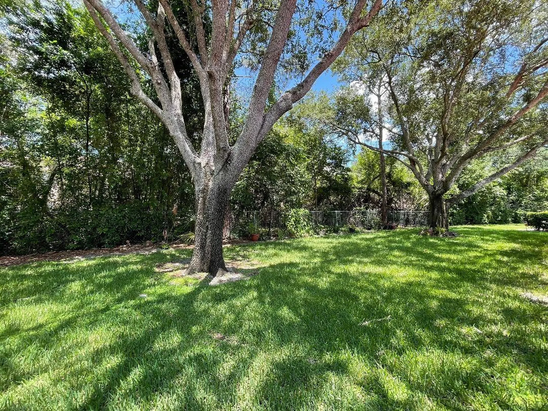 7517 Fenwick Cove Lane Orlando FL 32819