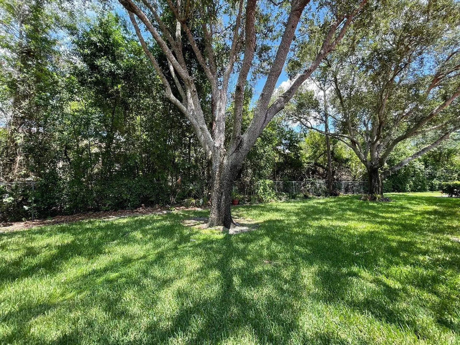 7517 Fenwick Cove Lane Orlando FL 32819