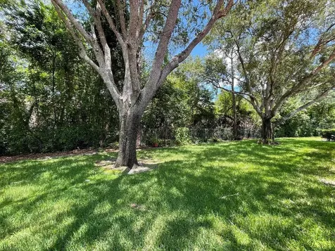 7517 Fenwick Cove Lane Orlando FL 32819