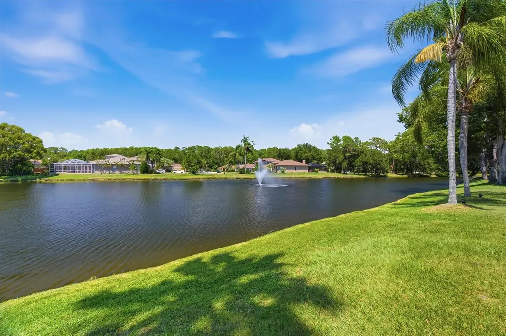 4149 Ridgemoor Drive N Palm Harbor FL 34685