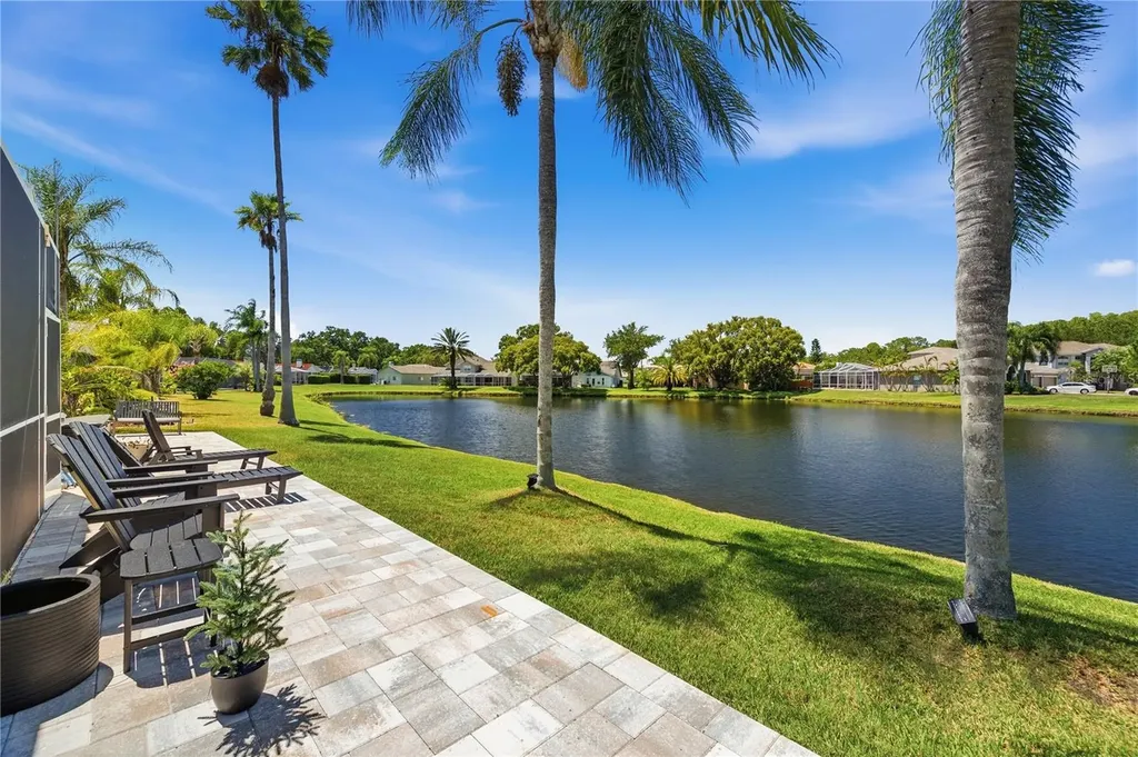 4149 Ridgemoor Drive N Palm Harbor FL 34685