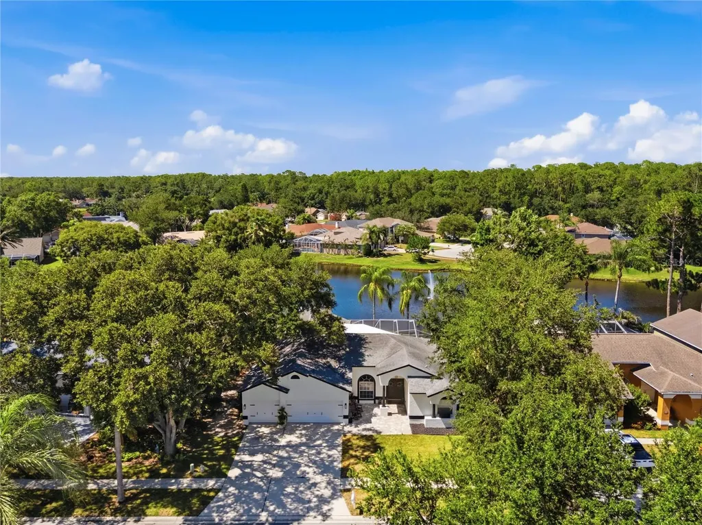 4149 Ridgemoor Drive N Palm Harbor FL 34685