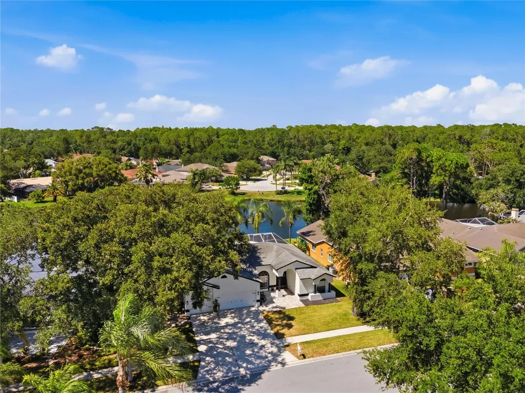 4149 Ridgemoor Drive N Palm Harbor FL 34685