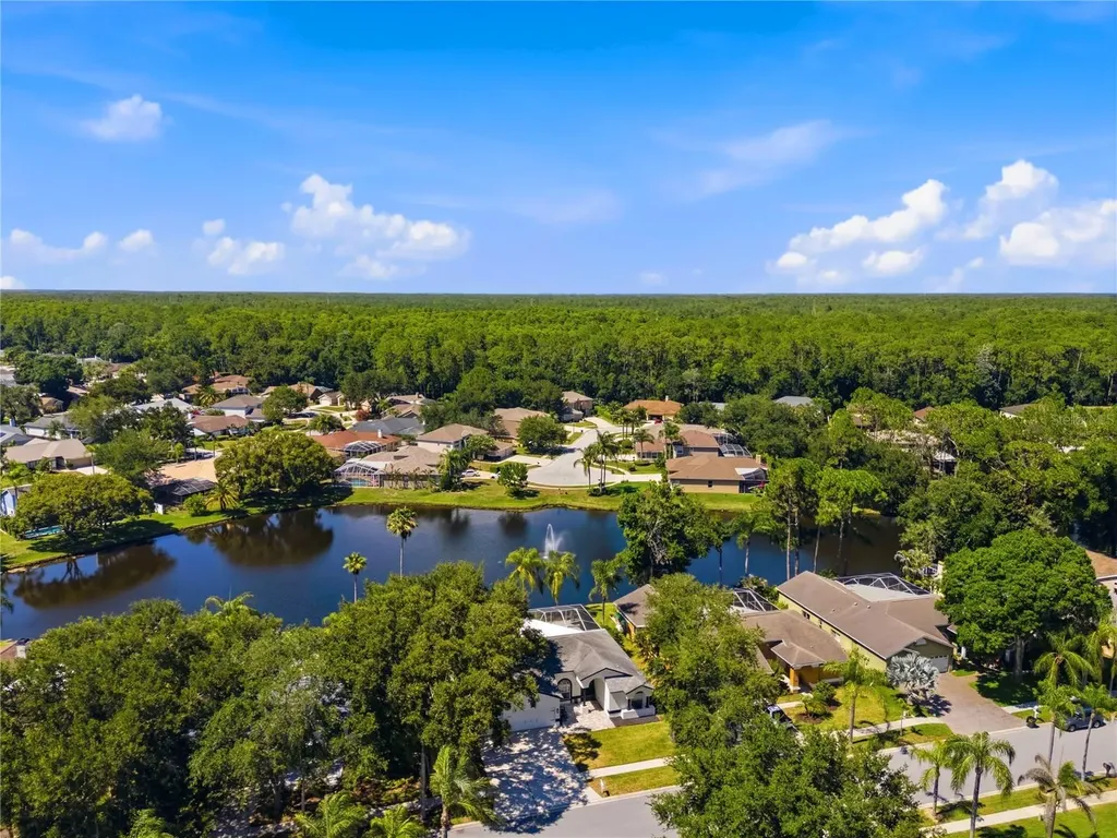 4149 Ridgemoor Drive N Palm Harbor FL 34685
