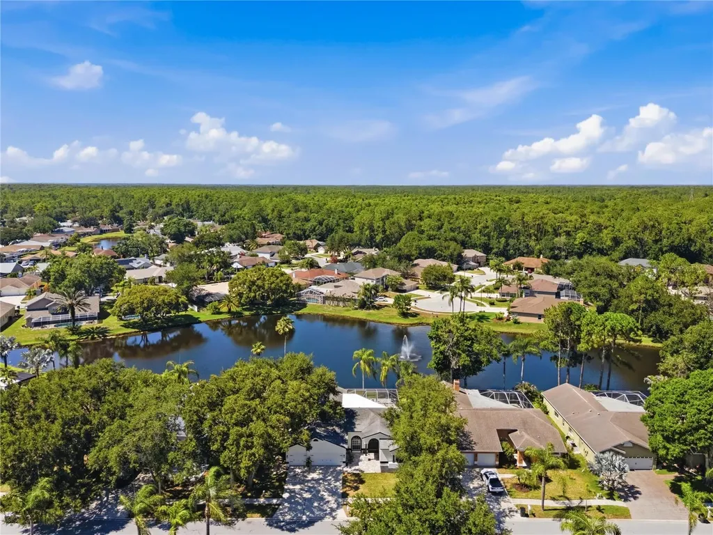 4149 Ridgemoor Drive N Palm Harbor FL 34685