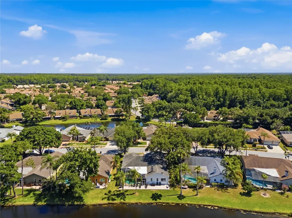4149 Ridgemoor Drive N Palm Harbor FL 34685