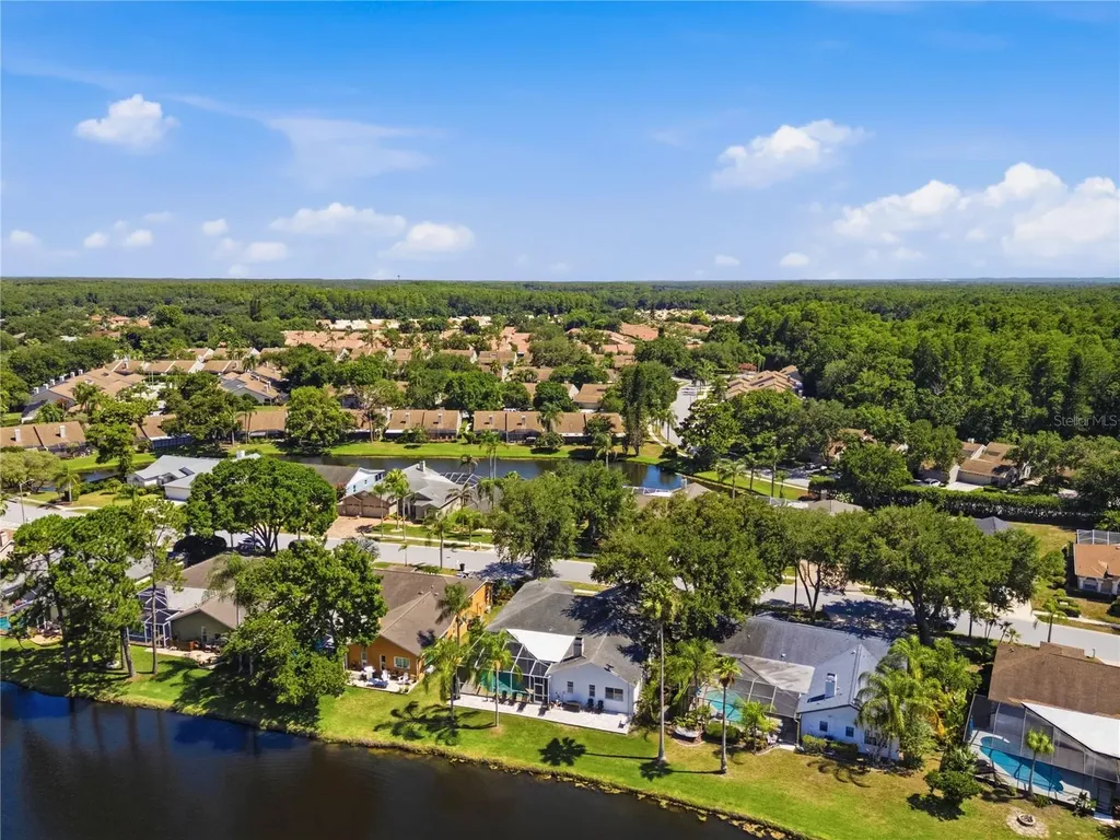 4149 Ridgemoor Drive N Palm Harbor FL 34685