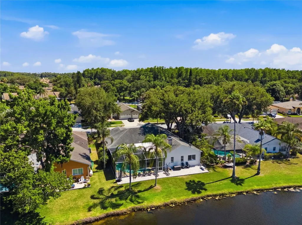 4149 Ridgemoor Drive N Palm Harbor FL 34685