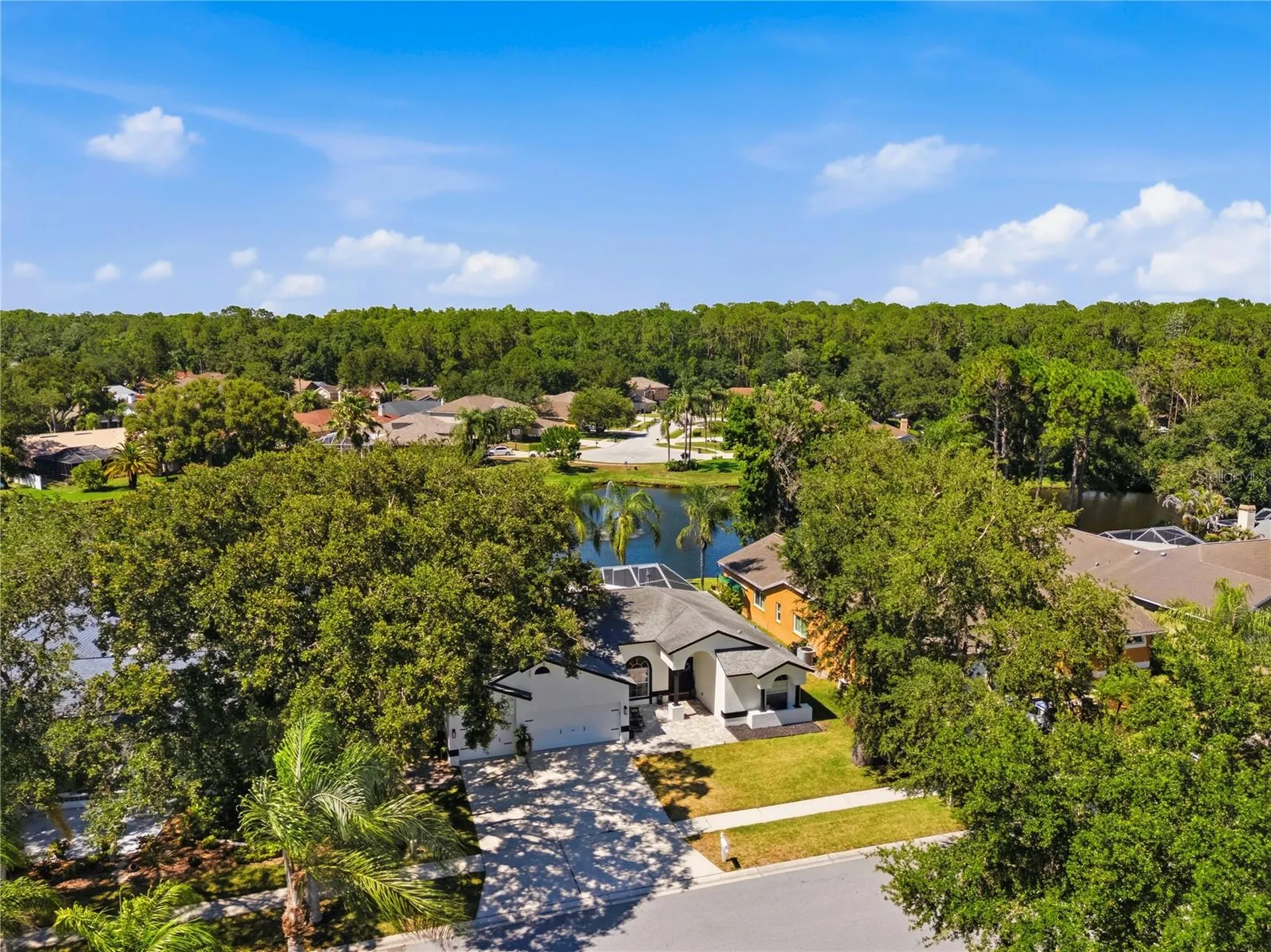 4149 Ridgemoor Drive N Palm Harbor FL 34685