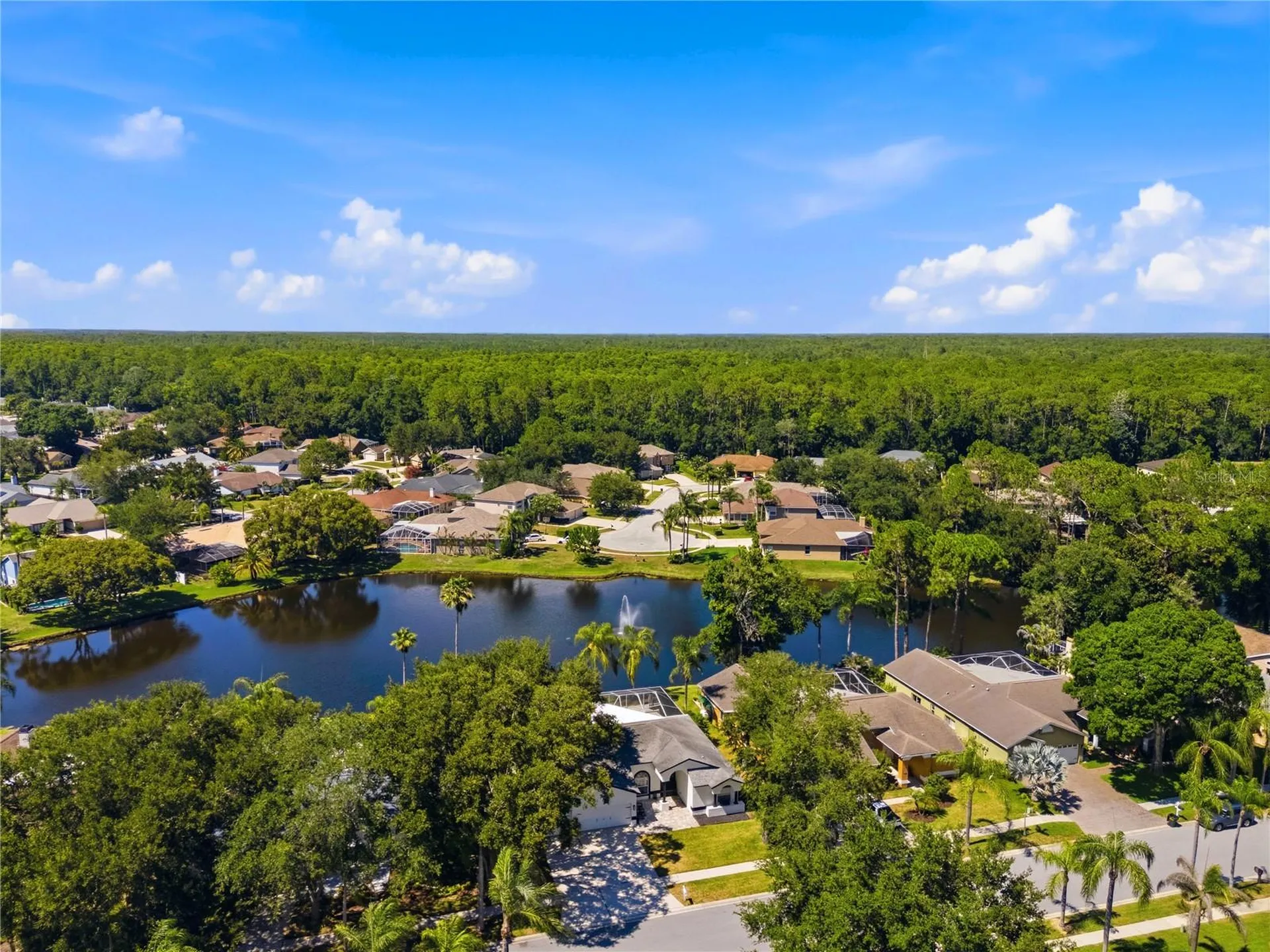 4149 Ridgemoor Drive N Palm Harbor FL 34685