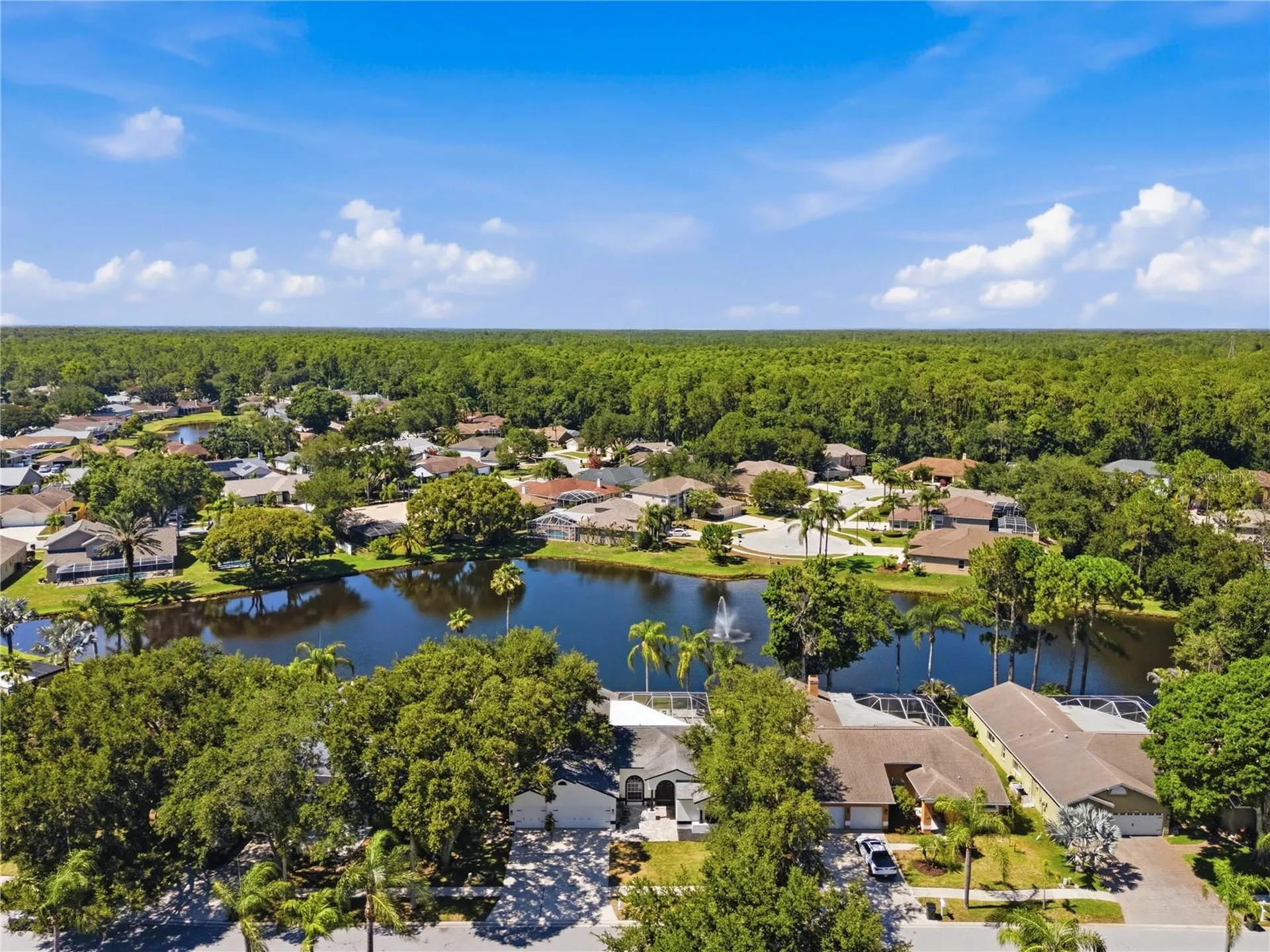 4149 Ridgemoor Drive N Palm Harbor FL 34685